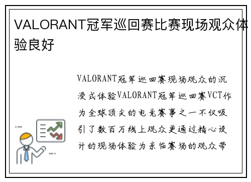 VALORANT冠军巡回赛比赛现场观众体验良好